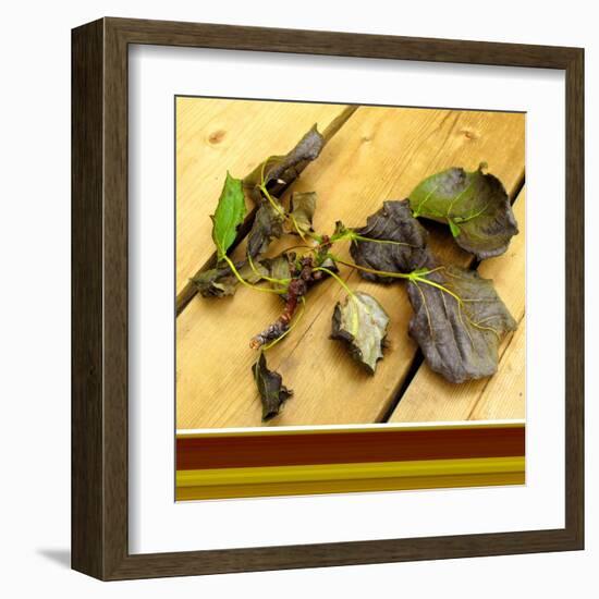 Fallen-Ruth Palmer-Framed Art Print