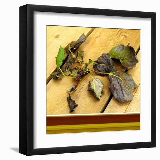 Fallen-Ruth Palmer-Framed Art Print