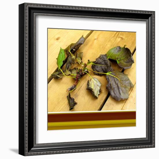 Fallen-Ruth Palmer-Framed Art Print