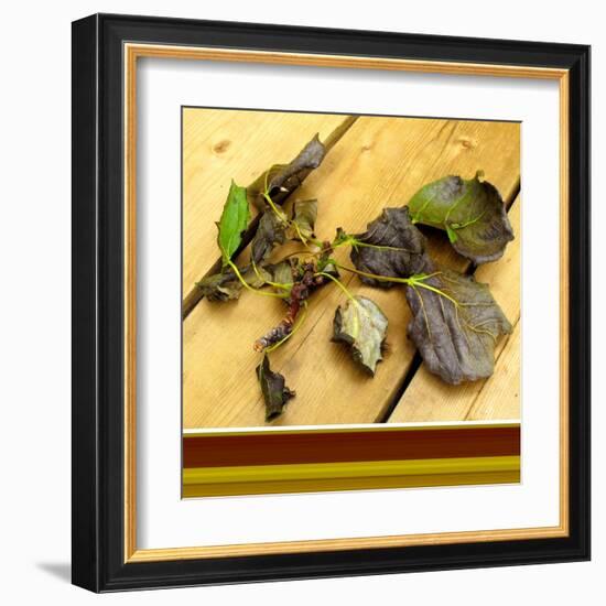 Fallen-Ruth Palmer-Framed Art Print