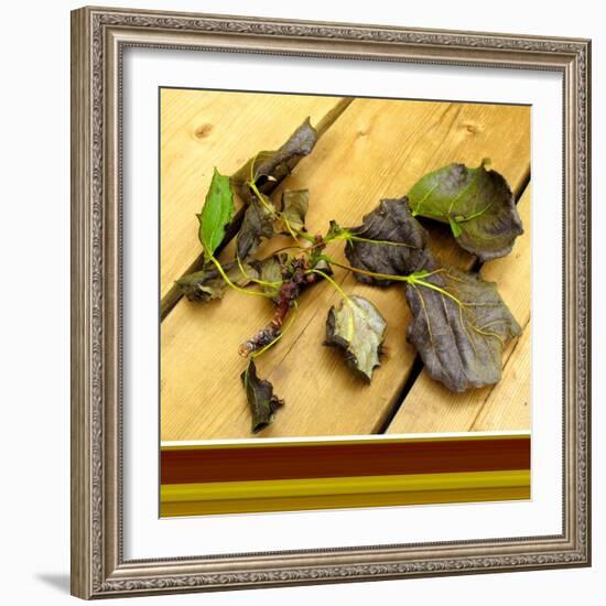 Fallen-Ruth Palmer-Framed Art Print