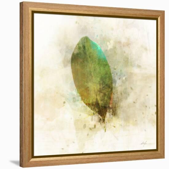 Falling Birch Leaf-Ken Roko-Framed Stretched Canvas