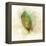 Falling Birch Leaf-Ken Roko-Framed Stretched Canvas
