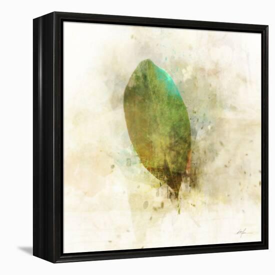 Falling Birch Leaf-Ken Roko-Framed Stretched Canvas