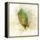 Falling Birch Leaf-Ken Roko-Framed Stretched Canvas