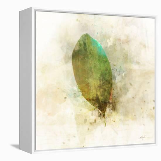 Falling Birch Leaf-Ken Roko-Framed Stretched Canvas