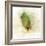 Falling Birch Leaf-Ken Roko-Framed Art Print