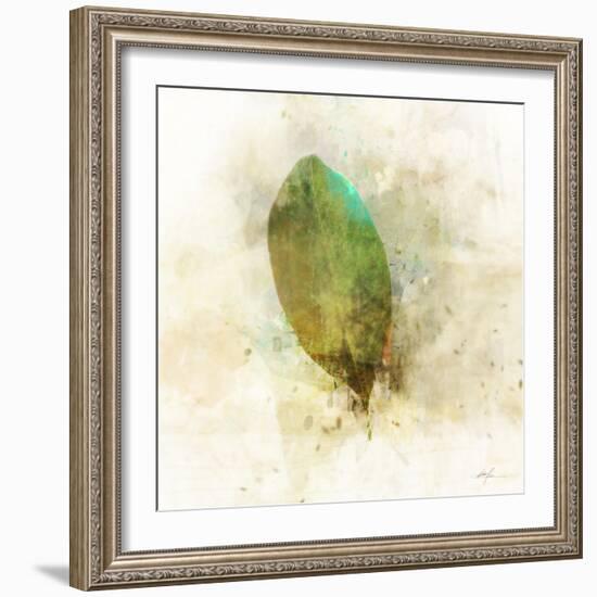 Falling Birch Leaf-Ken Roko-Framed Art Print