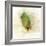 Falling Birch Leaf-Ken Roko-Framed Art Print