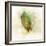 Falling Birch Leaf-Ken Roko-Framed Art Print