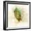 Falling Birch Leaf-Ken Roko-Framed Art Print