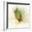 Falling Birch Leaf-Ken Roko-Framed Art Print