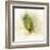 Falling Birch Leaf-Ken Roko-Framed Art Print