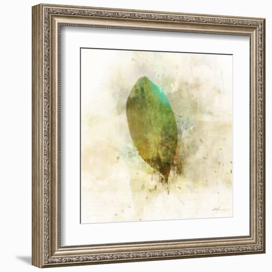 Falling Birch Leaf-Ken Roko-Framed Art Print