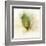 Falling Birch Leaf-Ken Roko-Framed Art Print