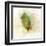 Falling Birch Leaf-Ken Roko-Framed Art Print