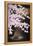 Falling Cherry Blossoms-Joh Naito-Framed Premier Image Canvas