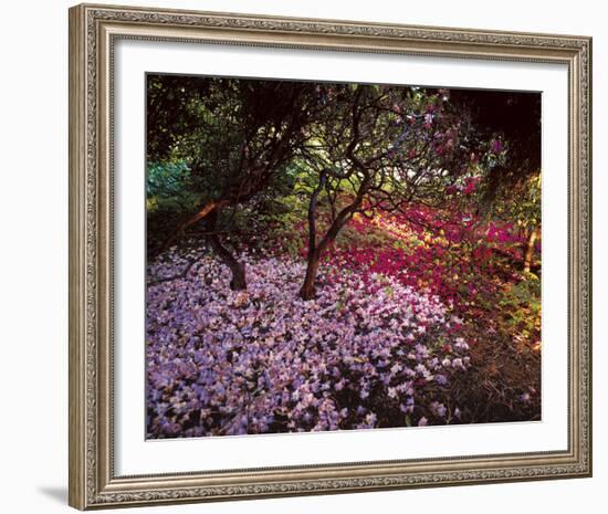 Falling Flowers-Bent Rej-Framed Giclee Print