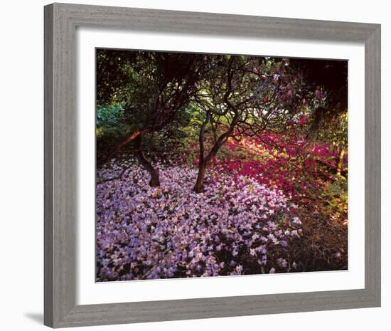 Falling Flowers-Bent Rej-Framed Giclee Print