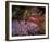 Falling Flowers-Bent Rej-Framed Giclee Print