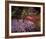 Falling Flowers-Bent Rej-Framed Giclee Print