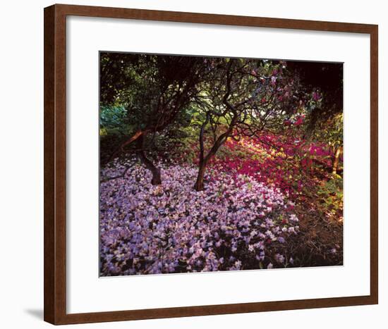 Falling Flowers-Bent Rej-Framed Giclee Print