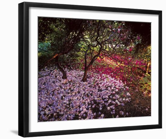 Falling Flowers-Bent Rej-Framed Giclee Print