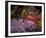 Falling Flowers-Bent Rej-Framed Giclee Print