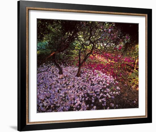 Falling Flowers-Bent Rej-Framed Giclee Print