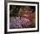 Falling Flowers-Bent Rej-Framed Giclee Print