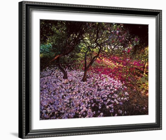 Falling Flowers-Bent Rej-Framed Giclee Print