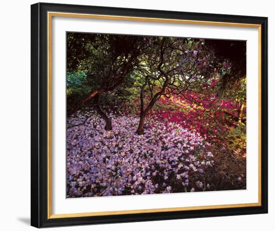 Falling Flowers-Bent Rej-Framed Giclee Print