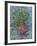 Falling Flowers-James W Johnson-Framed Giclee Print