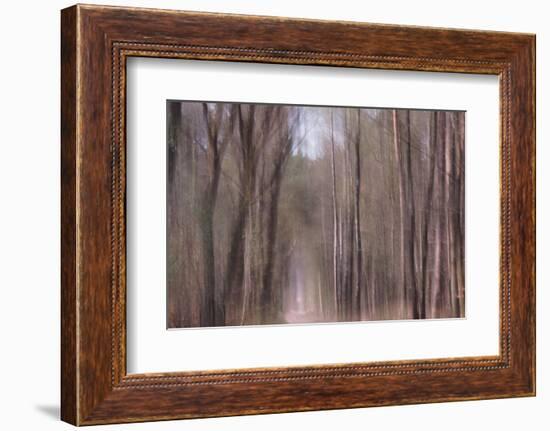 Falling From Heaven-Jacob Berghoef-Framed Photographic Print