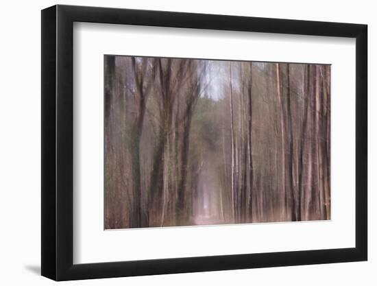 Falling From Heaven-Jacob Berghoef-Framed Photographic Print