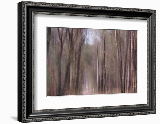 Falling From Heaven-Jacob Berghoef-Framed Photographic Print