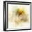 Falling Ginko Leaf-Ken Roko-Framed Art Print