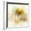 Falling Ginko Leaf-Ken Roko-Framed Art Print