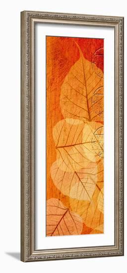 Falling Leaves II-Malcolm Sanders-Framed Giclee Print