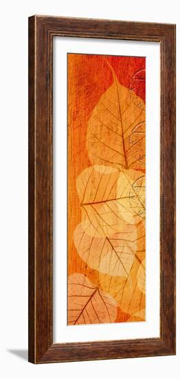 Falling Leaves II-Malcolm Sanders-Framed Giclee Print