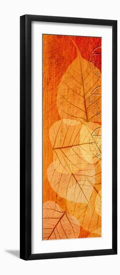 Falling Leaves II-Malcolm Sanders-Framed Giclee Print