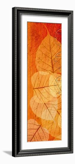 Falling Leaves II-Malcolm Sanders-Framed Giclee Print