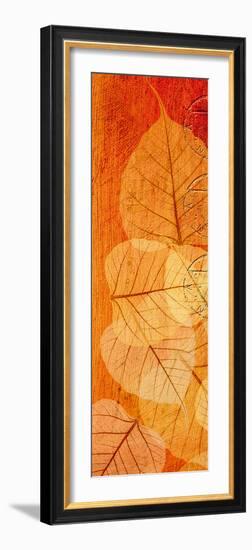 Falling Leaves II-Malcolm Sanders-Framed Giclee Print