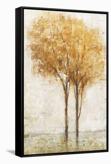 Falling Leaves II-Tim O'toole-Framed Stretched Canvas