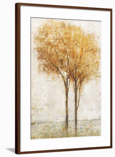 Falling Leaves II-Tim O'toole-Framed Art Print