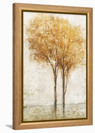 Falling Leaves II-Tim O'toole-Framed Stretched Canvas
