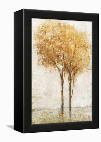 Falling Leaves II-Tim O'toole-Framed Stretched Canvas