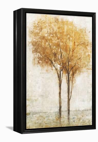 Falling Leaves II-Tim O'toole-Framed Stretched Canvas