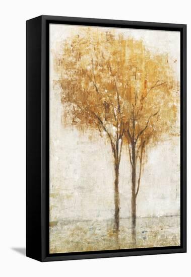 Falling Leaves II-Tim O'toole-Framed Stretched Canvas