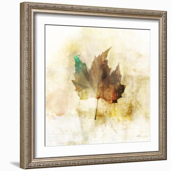 Falling Maple Leaf 1-Ken Roko-Framed Art Print